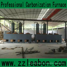 Línea completa de fabricación de briquetas de carbón con proceso de carbonización y secado